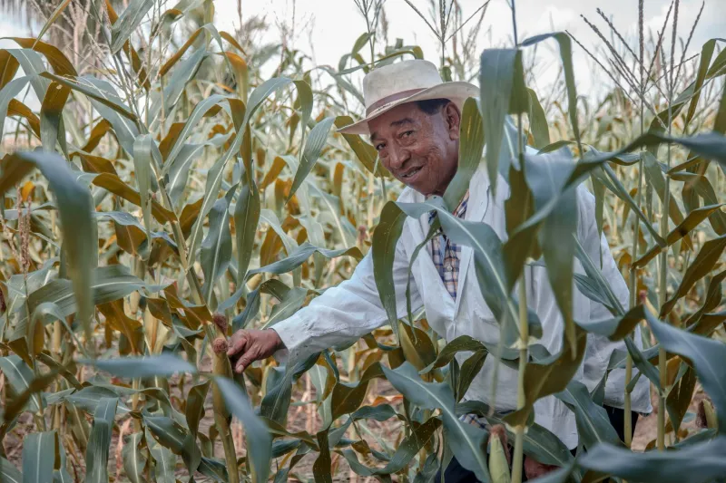 The Corn Farmer Who Cracked the Code of Life Itself